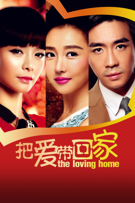 把爱带回家 TV版海报