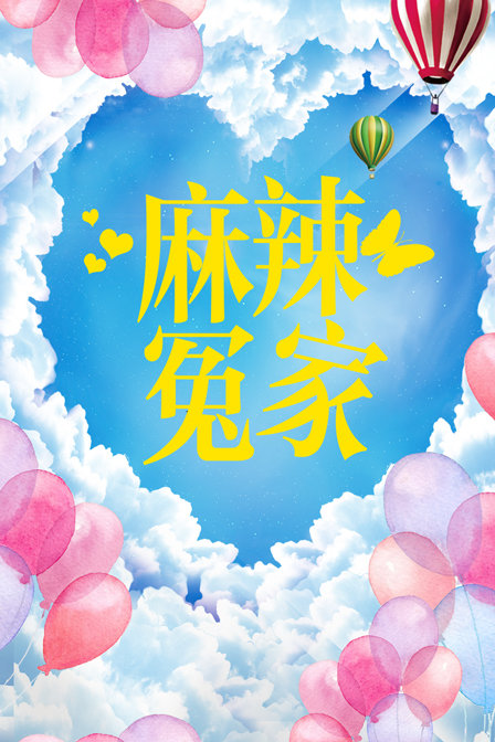 麻辣冤家海报