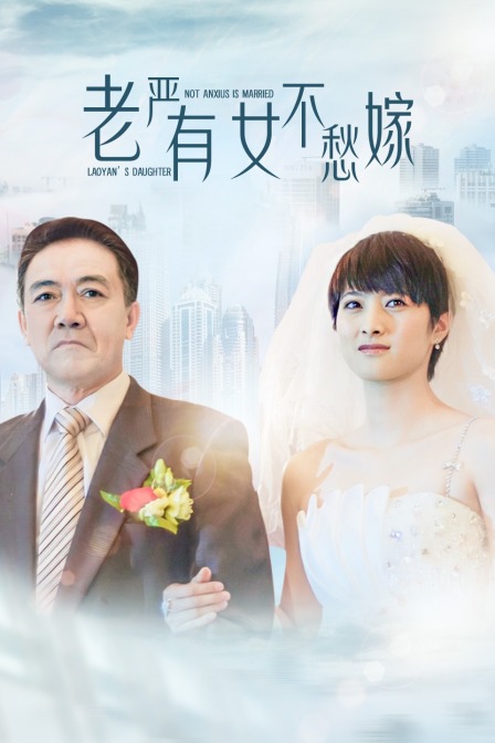 老严有女不愁嫁海报