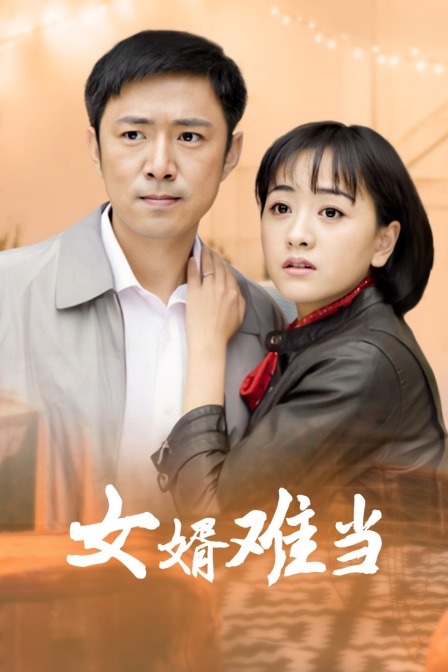 女婿难当海报