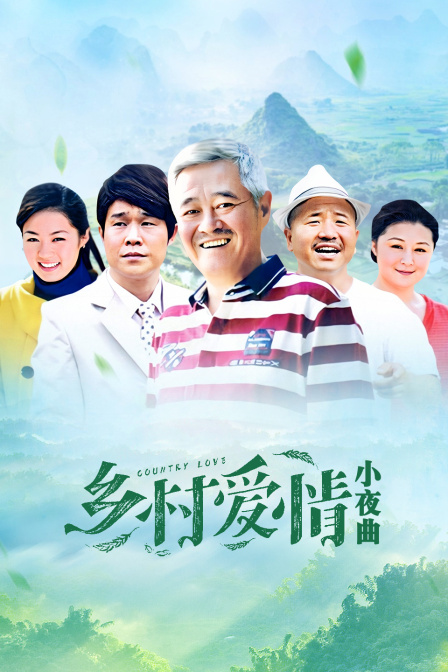 乡村爱情小夜曲海报