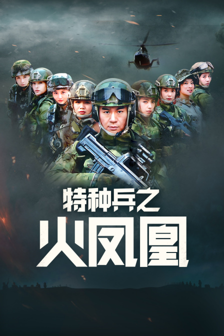 特种兵之火凤凰 DVD版海报