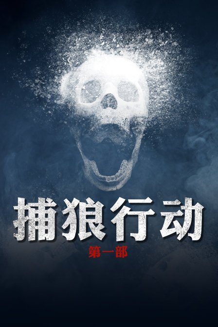 捕狼行动 第一部海报