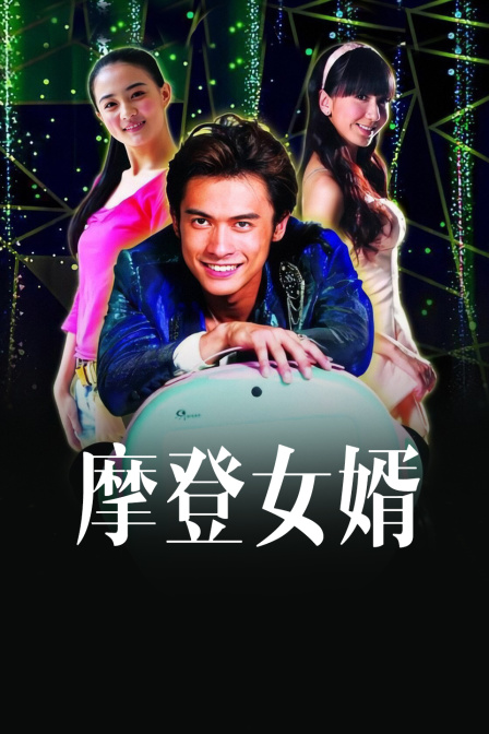 摩登女婿海报