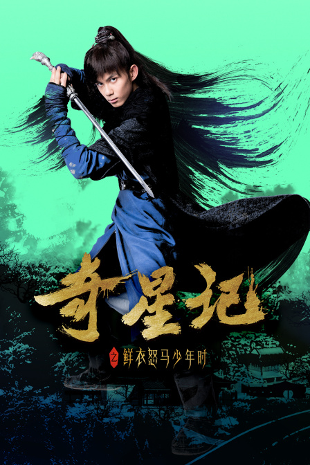 奇星记之鲜衣怒马少年时海报