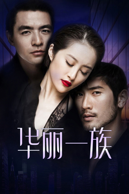 华丽一族 DVD版海报