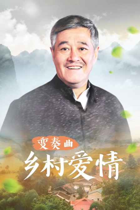 乡村爱情变奏曲海报