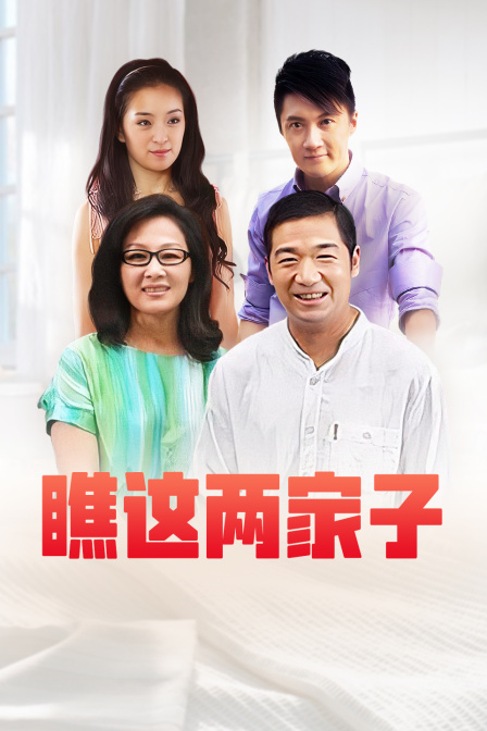 瞧这两家子海报