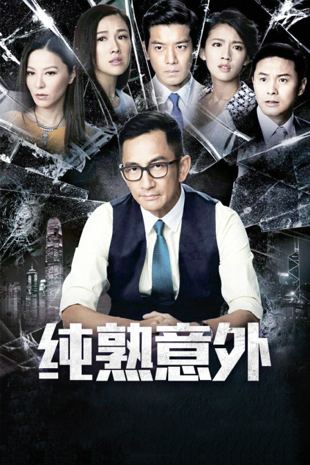 纯熟意外海报