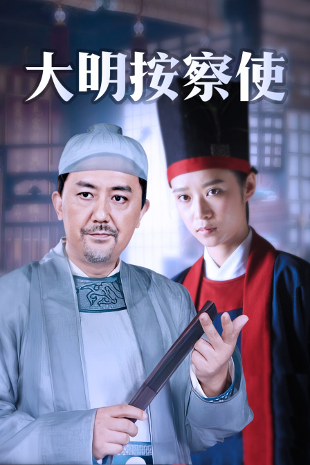 大明按察使 DVD版海报
