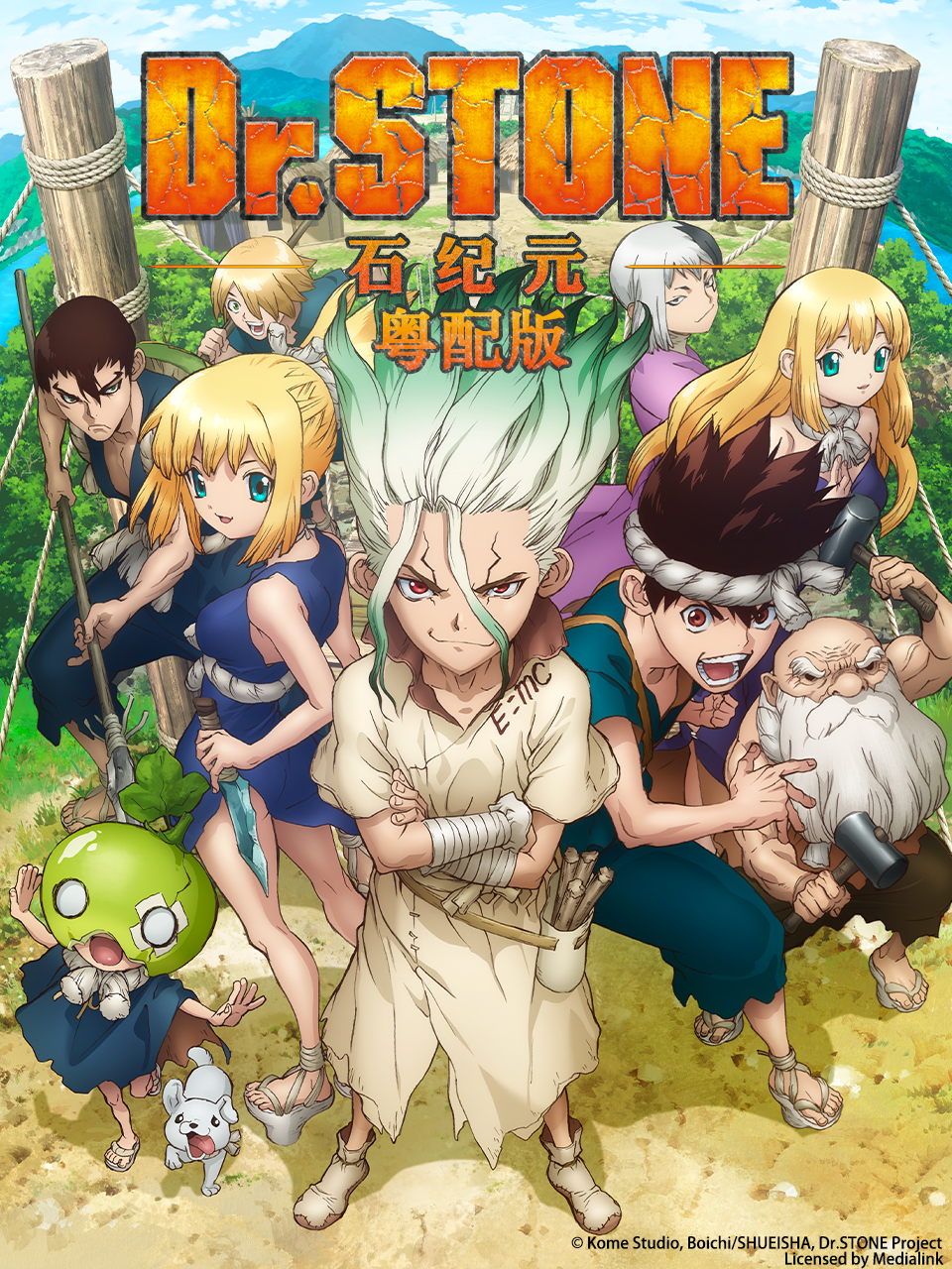 Ｄｒ．ＳＴＯＮＥ 石纪元 粤配版海报