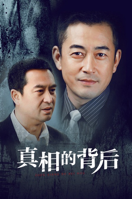 真相的背后海报