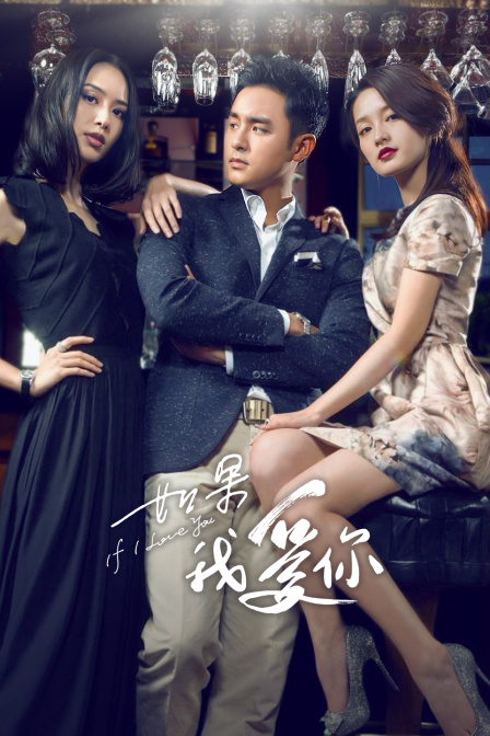 如果我爱你 TV版海报