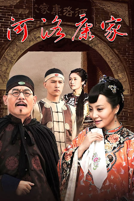 河洛康家海报