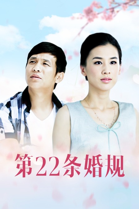 第22条婚规海报