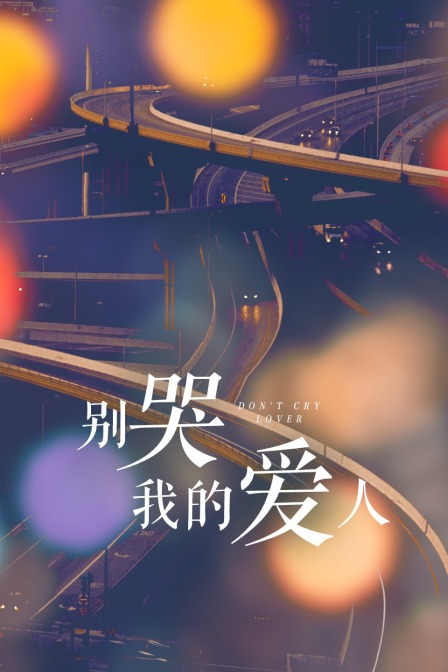别哭我的爱人海报