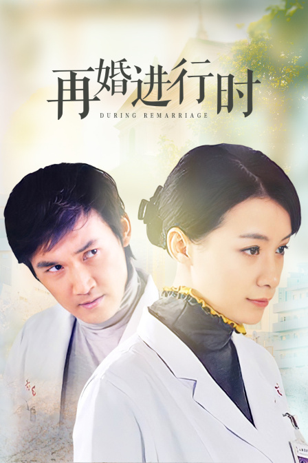 再婚进行时海报