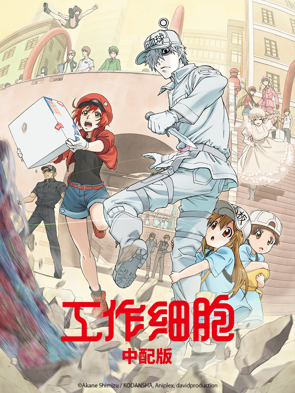 工作细胞（中配版）海报
