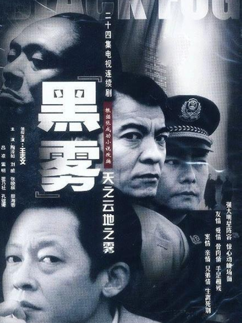 天之云，地之雾海报