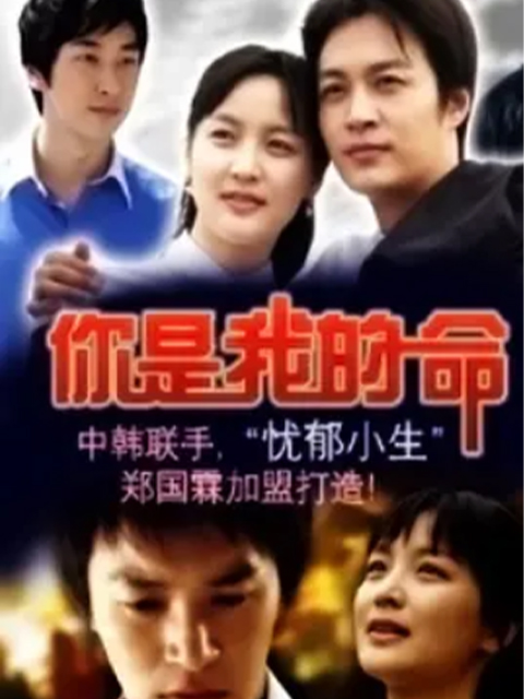 命运的春天海报