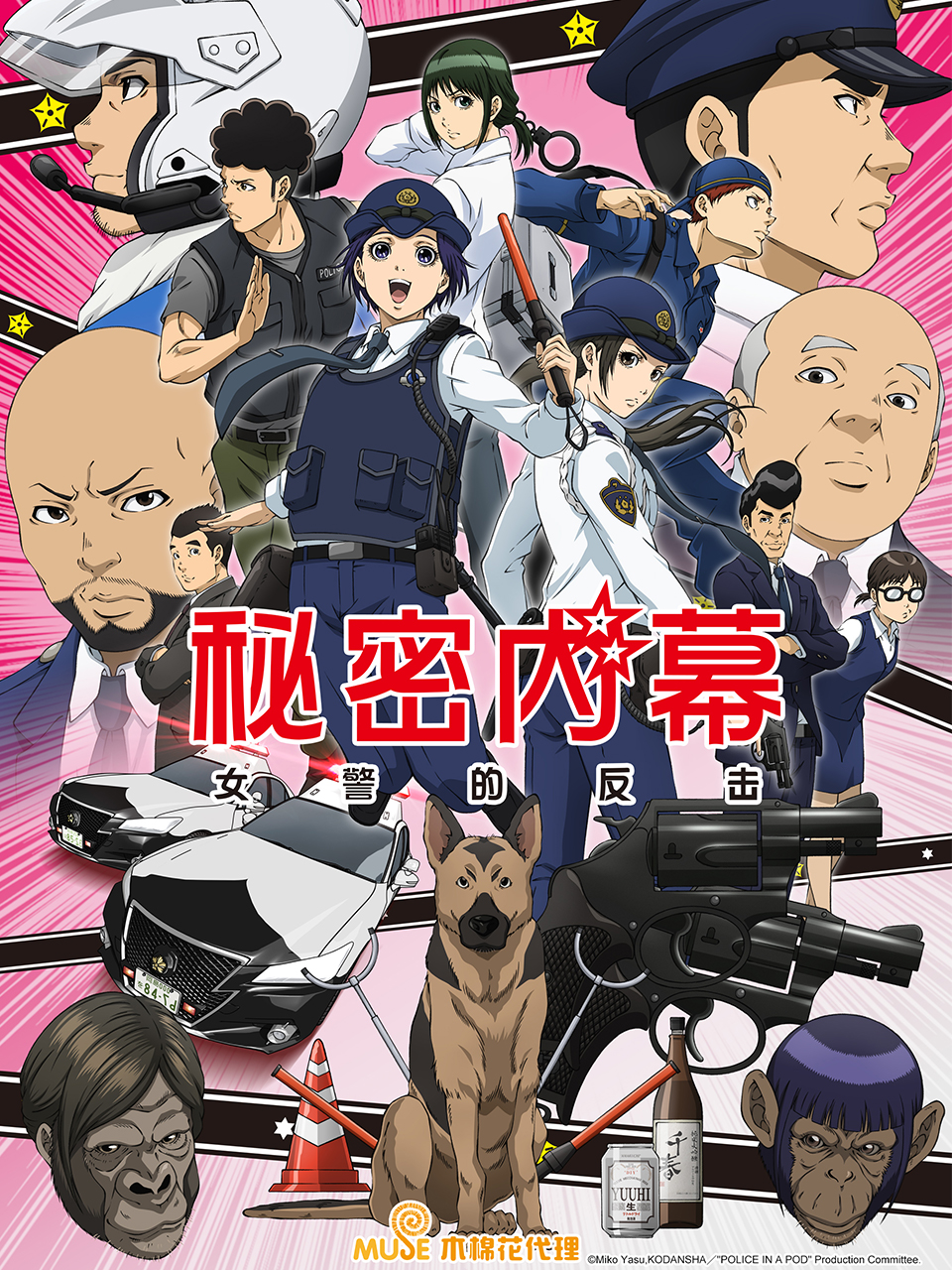 秘密内幕 女警的反击海报