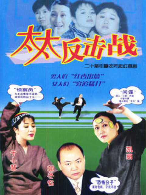 太太反击战海报