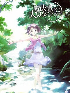 魔法使的注意事项海报