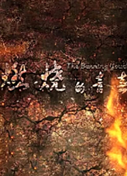 燃烧的青春海报