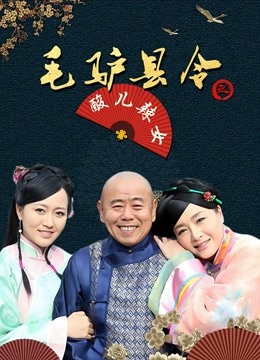 毛驴县令之酸儿辣女海报