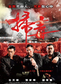 扫毒 （粤语）海报