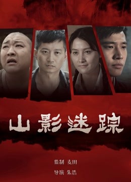 山影迷踪海报
