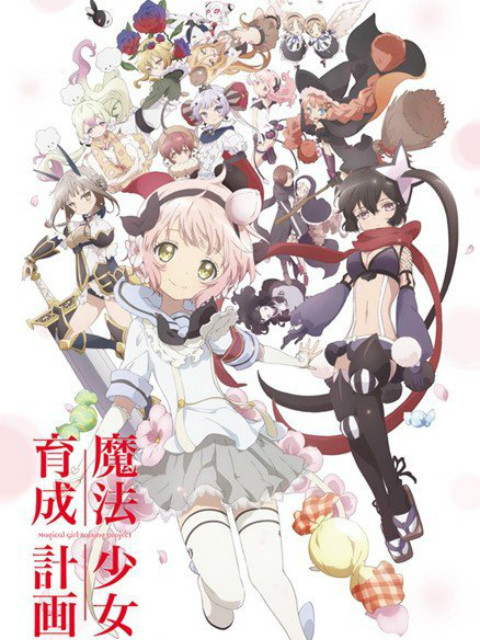 魔法少女育成计划海报