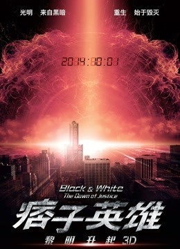 痞子英雄2:黎明升起海报