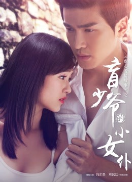 盲少爷的小女仆海报