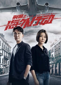 刑警之海外行动海报