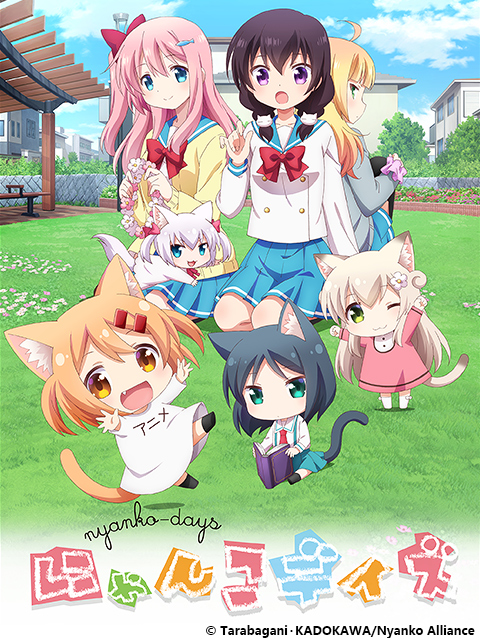 猫咪日常海报