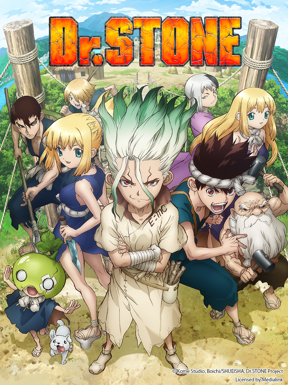 Ｄｒ．ＳＴＯＮＥ 石纪元海报