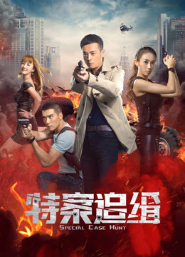 特案追缉海报