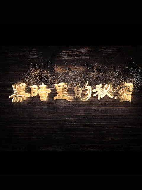 黑暗里的秘密海报