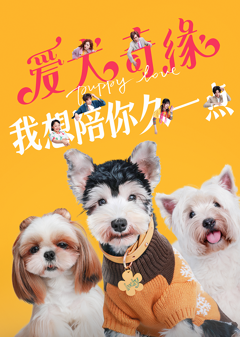 爱犬奇缘海报
