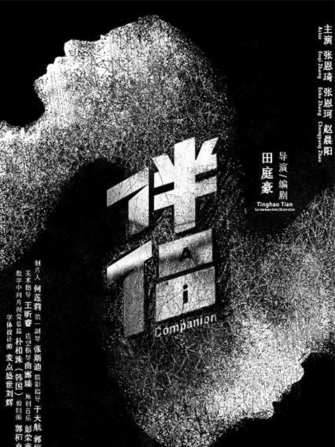 伴侣海报