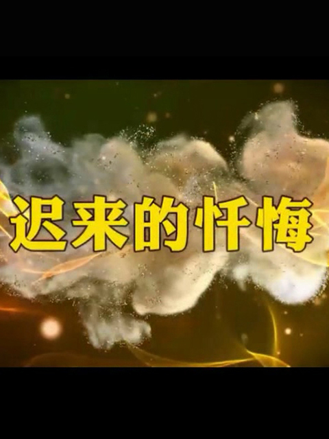 迟来的忏悔海报