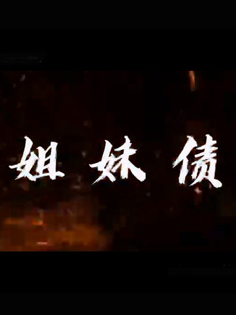 姐妹债海报