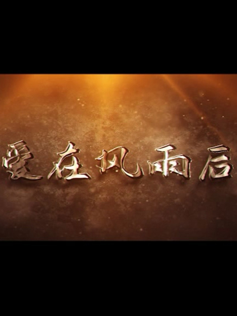 爱在风雨后海报