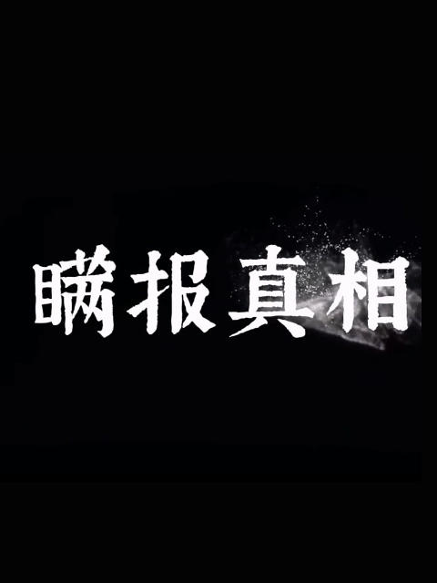 瞒报真相海报