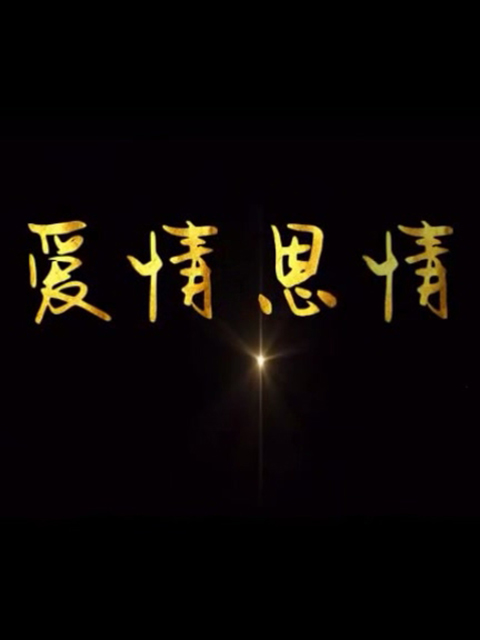 爱情恩情海报