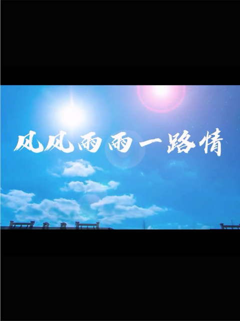 风风雨雨一路情海报