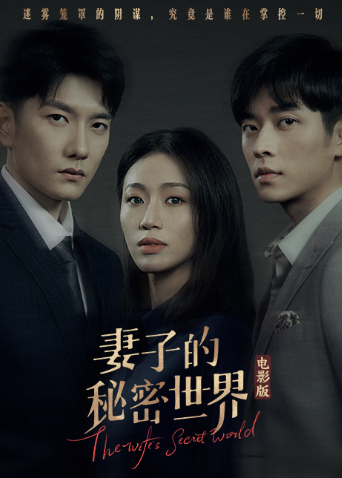 妻子的秘密世界电影版海报