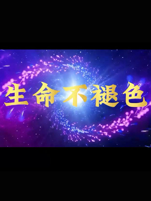 生命不褪色海报