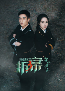 拆案：黎明将至海报
